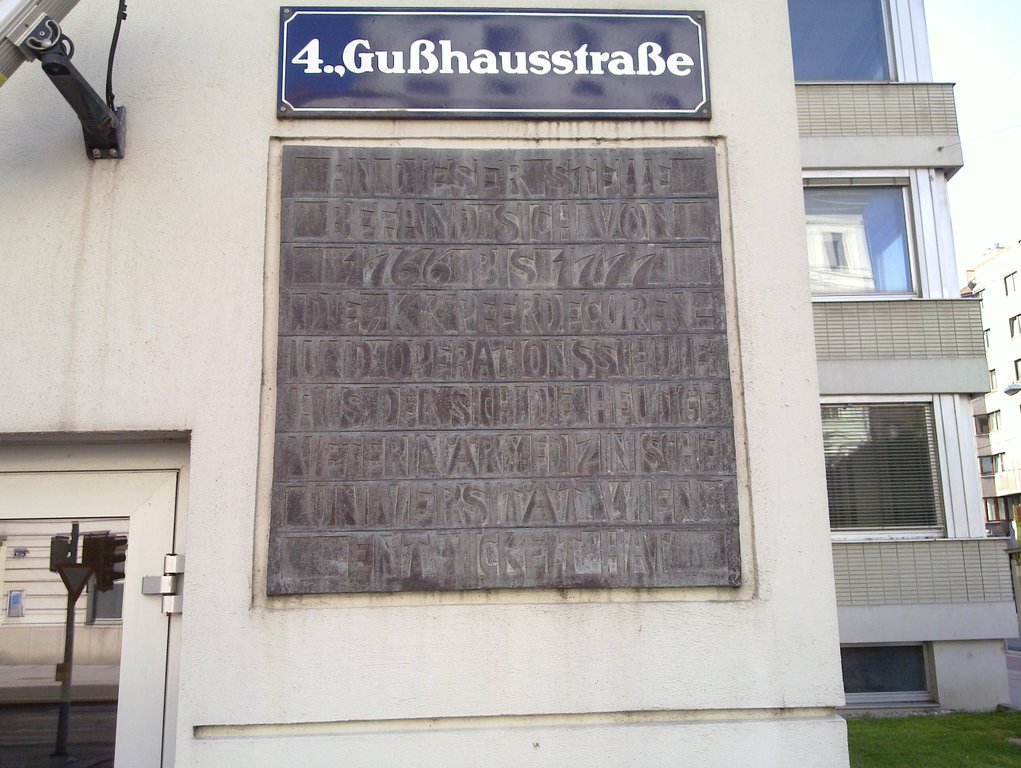 Image 20110717_073.jpg